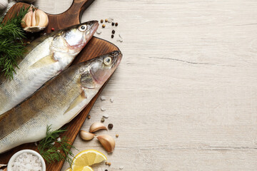 Fresh raw pike perches and ingredients on light wooden table, flat lay with space for text. River fish