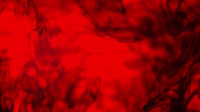 Black Ink Slowly Swirling Into the Water on a Red Background, Abstract Shot
