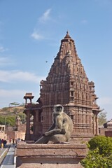 Obraz premium group of Temple in the Mandore garden,Jodhpur,rajasthan,india,asia