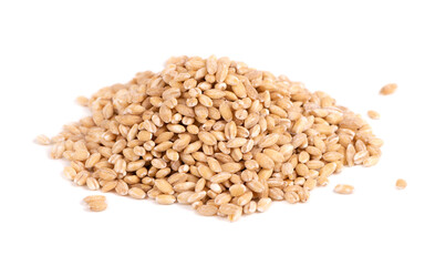 Pearl barley grains, isolated on white background. Barley seed close up. Top view.