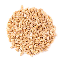 Pearl barley grains, isolated on white background. Barley seed close up. Top view.