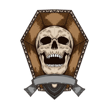 recommend clip art: Hand drawn skull vintage line art engraving  style