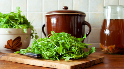 Preparing fresh mustard leaves in home kitchen. Making homemade pickled mustard greens.