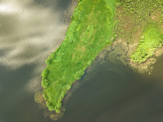 Drone view of the peninsula in the form of a sharp tongue lizard, dragon on the lake on a sunny summer day