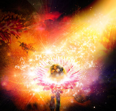 Cosmic Bee