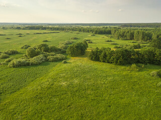 Fototapeta na wymiar Drone view of a beautiful landscape of a green field with trees on a sunny summer day