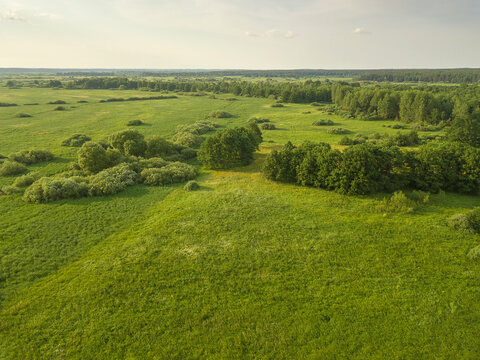 Drone view of a beautiful landscape of a green field with trees on a sunny summer day