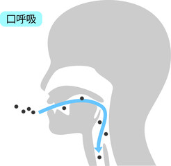 鼻呼吸と口呼吸