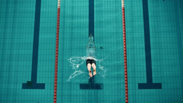 Aerial Top View: Muscular Male Swimmer Diving in Swimming Pool. Professional Athlete Gracefully Jumps, Swims Freestyle, Training Determined to Win Championship. Cinematic Slow Motion, Stylish Colors