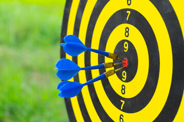 Dartboard on darts sport outdoor with green filed and sunlight background with arrows hitting the center target  also known as "bulls eye".Aim and reach concept.