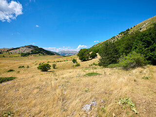 Passo Godi in the Abruzzese Apennines..Pastures and woods in the valley of Passo Godi at the foot of Monte Sella Rocca Chiarano which is a peak of the Marsicani Mountains