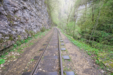 Fototapeta premium Narrow gauge railway in the deep narrow Guam canyon. Western Caucasus.