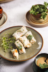 Several spring rolls with chicken, carrot and bamboo sprouts in rice paper on green plate, sesame sauce and coriander on concrete surface