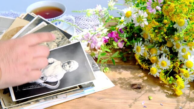 female hands going through old photos of 50s, 60s, bouquet of wildflowers, cup of tea on table, concept of genealogy, memory of ancestors, family tree, childhood memories, family archive