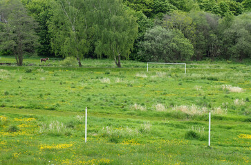an abandoned soccer pitch with goalposts on a field overgrown with long grass and wildflowers surrounded by trees