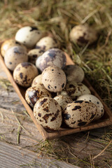 Quail eggs on an old wooden table.