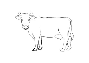 Farm animal. Cow sketch. Hand drawn. Black and white vector illustration isolated on white background.