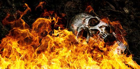 In front of human skull buried on fire in the soil with the roots of the tree on the side. The...
