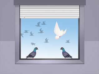illustration of pigeons at the window