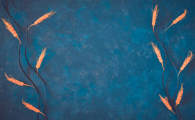 Autumn dark blue background, grunge texture. Dry orange branches frame decoration, copy space, top view, flat lay.