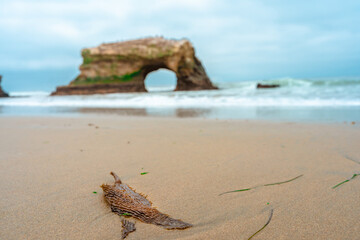 Scenic view of Natural Bridge Vista Point in Santa Cruz, California