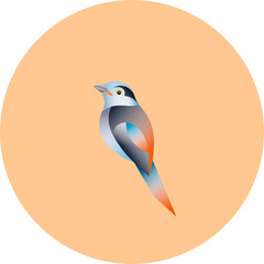 illustration of a bird