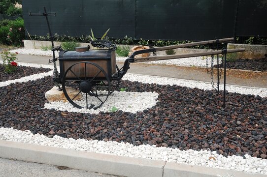 Flayosc (Midi de la France)