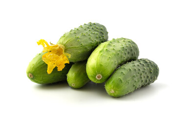 Small cucumbers close up, gherkins lie isolated on white background.