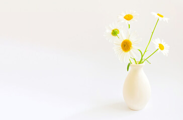 Flower composition. High key photography with white daisies in a clay vase on a white background.