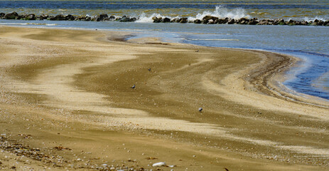 A curvey shoreline with a breakwater at Rutherford Beach, Cameron Parish, Louisiana, on the Gulf of...