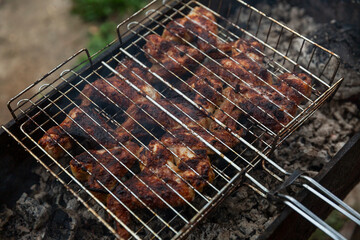 Fried meat on the grill on the grill in nature. We will have a picnic in the air. Close-up.