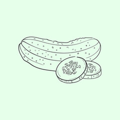 Cucumber Line vector illustration. Detailed Food icon for mobile concept, print, menu, and web apps. For for restaurant, bar, vegan, healthy and organic food, market, farmers market.