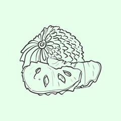 Annona (guanabana) Line vector illustration. Detailed Food icon for mobile concept, print, menu, and web apps. For for restaurant, bar, vegan, healthy and organic food, market, farmers market.