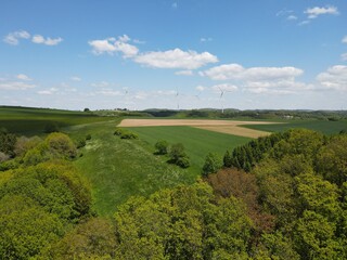 Aerial view of trees and agriculture fields with nice blue sky 