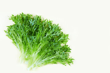 Bunch of raw organic green frisee salad on light background. Close up. Flat lay . 