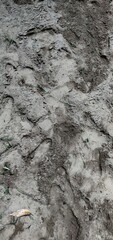 texture of the ground
