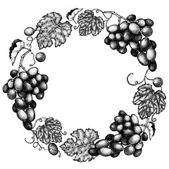 Grapes round frame, grape wreath with leaves. Hand drawn black and white illustration, graphic drawing. Winemaking print product design, background, template