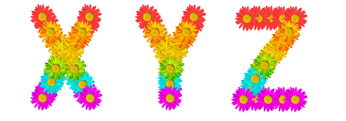 The letters X, Y, Z are made of multi-colored daisies. The colors of the rainbow