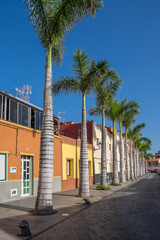 Palmera y casas de colores en el barrio de La Ranilla del Puerto de la Cruz en la costa norte de Tenerife, Canarias