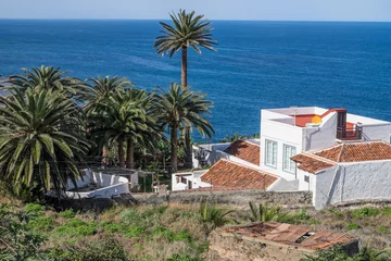 Foto op Canvas Casas rurales en el barrio de Las Ramblas en la costa norte de Tenerife, Canarias © s-aznar
