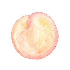 Peach. Watercolor. Hand drawn illustration.