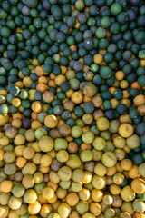 close up of a pile of sour oranges