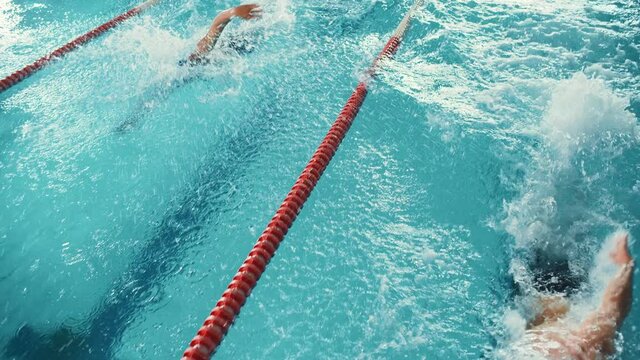Swim Race: Two Professional Swimmers in Swimming Pool, Stronger and Faster Wins and Celebrates.