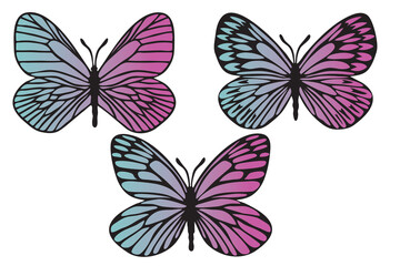 Butterflies outlines silhouette set with modern gradient. Clip art isolated