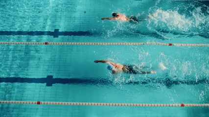 Swim Race: Two Professional Swimmers jump dive in Swimming Pool, Stronger and Faster Wins. Athletes Compete the Best Wins Championship, World Record. Slow Motion, Aerial Top View Tracking Shot - Powered by Adobe