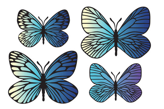 Butterflies black outlines silhouettes with modern gradient
