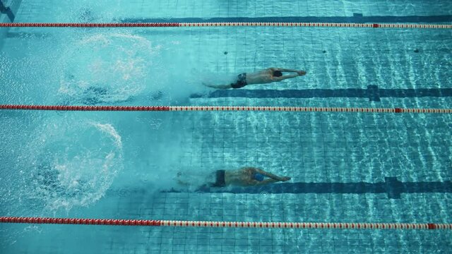 Swim Race: Two Professional Swimmers jump dive in Swimming Pool, Stronger and Faster Wins. Athletes Compete the Best Wins Championship, World Record. Slow Motion, Aerial Top View Tracking Shot