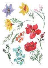 Fototapeta premium Set with flowers, branches with small flowering field plants and green leaves. Isolated elements on a white background for cards, invitations, print, packaging, background, wallpaper. Watercolor.