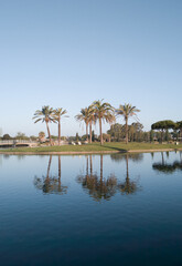 Palm trees behind a lake in 'Costa Ballena', Rota, Cádiz, Spain