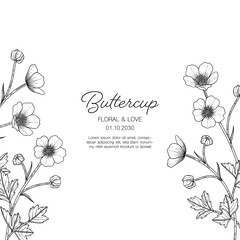Hand drawn buttercup floral greeting card background.
